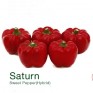 206655-tomaatpaprika-saturn-f1