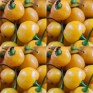 207690-peper-aji-charapita