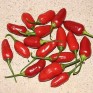 207695-peper-aji-little-finger