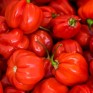 207708-peper-ajoema-type-ata-big-habanero-ata-big
