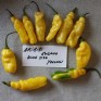 207876-peper-aribibi-gusano-king-size-yellow