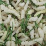 207877-peper-aribibi-gusano