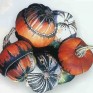 515260-cucurbita-maxima-bischofsmutze-fungo