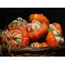 515290-cucurbita-maxima-reuzen-turkish-turban