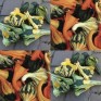 515314-cucurbita-pepo-autumn-wings-mix-indian-mix