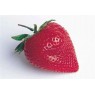 001210-basketaardbei-loran-f1