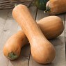 216240-pompoenen-tahiti-melon