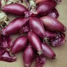 305615-grote-rode-langwerpige-uien-dulce-lunga-di-tropea-rossa-lunga-di-tropea