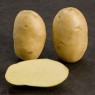 401640-aardappels-oscar-bim-13-678-01
