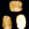 401700-aardappels-eigenheimer