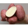 401800-aardappels-monte-carlo