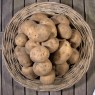 405271-aardappels-noordeling