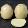 405300-aardappels-orla