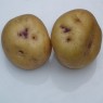 405350-aardappels-paarsput-paarspit-blauwput-blauwpit