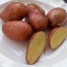 405430-aardappels-rosabelle