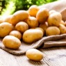 405470-aardappels-saskia