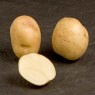 405600-aardappels-suttons-foremost
