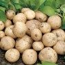 405610-aardappels-swift