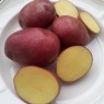 405650-aardappels-tiamo