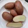 405700-aardappels-vanessa
