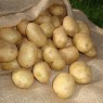 405750-aardappels-winston