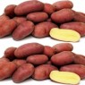 405970-aardappels-abby