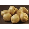 405980-aardappels-aggeblomme-aeggeblomme