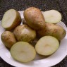 405982-aardappels-alamo