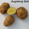 405990-aardappels-augsburg-gold