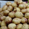 405997-aardappels-sineglazka-blue-eye
