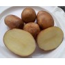 405999-aardappels-blumenau-brazil
