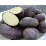 406190-aardappels-edgecote-purple-gloucester-black-kidney-port-wine-kidney