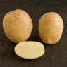 406210-aardappels-estima