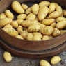 406220-aardappels-exquisa