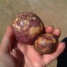 406242-aardappels-fortyfold