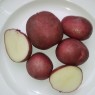 407735-aardappels-parzival