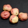 407740-aardappels-peach-bloom-peachbloom