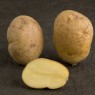 407801-aardappels-record