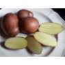 407895-aardappels-red-glenn