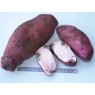 407916-aardappels-sarpo-axona-child-rot