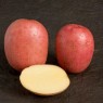 407920-aardappels-setanta