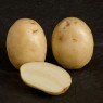 407940-aardappels-valor