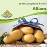 407968-aardappels-allians