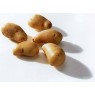 408100-aardappels-charlotte