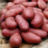 408110-aardappels-cherie