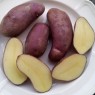 408190-aardappels-gervioline