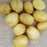 408410-aardappels-lucera