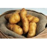 408600-aardappels-la-ratte-ardeche-buggenummer-muuskes-asparges