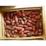 408700-aardappels-roseval