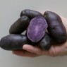 408800-aardappels-bergerac